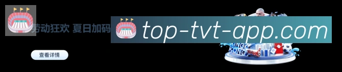 TVT体育荣誉
